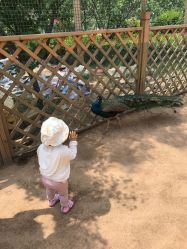 -萌宠亲子动物乐园(槐房万达店)