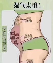 -Fundi张玉珊修身堂·indiba·BTL科技瘦身