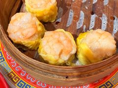 -憶廟街 X 沙角邨(太古城店)