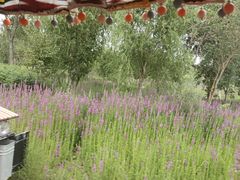 -水上乐园·欢乐世界