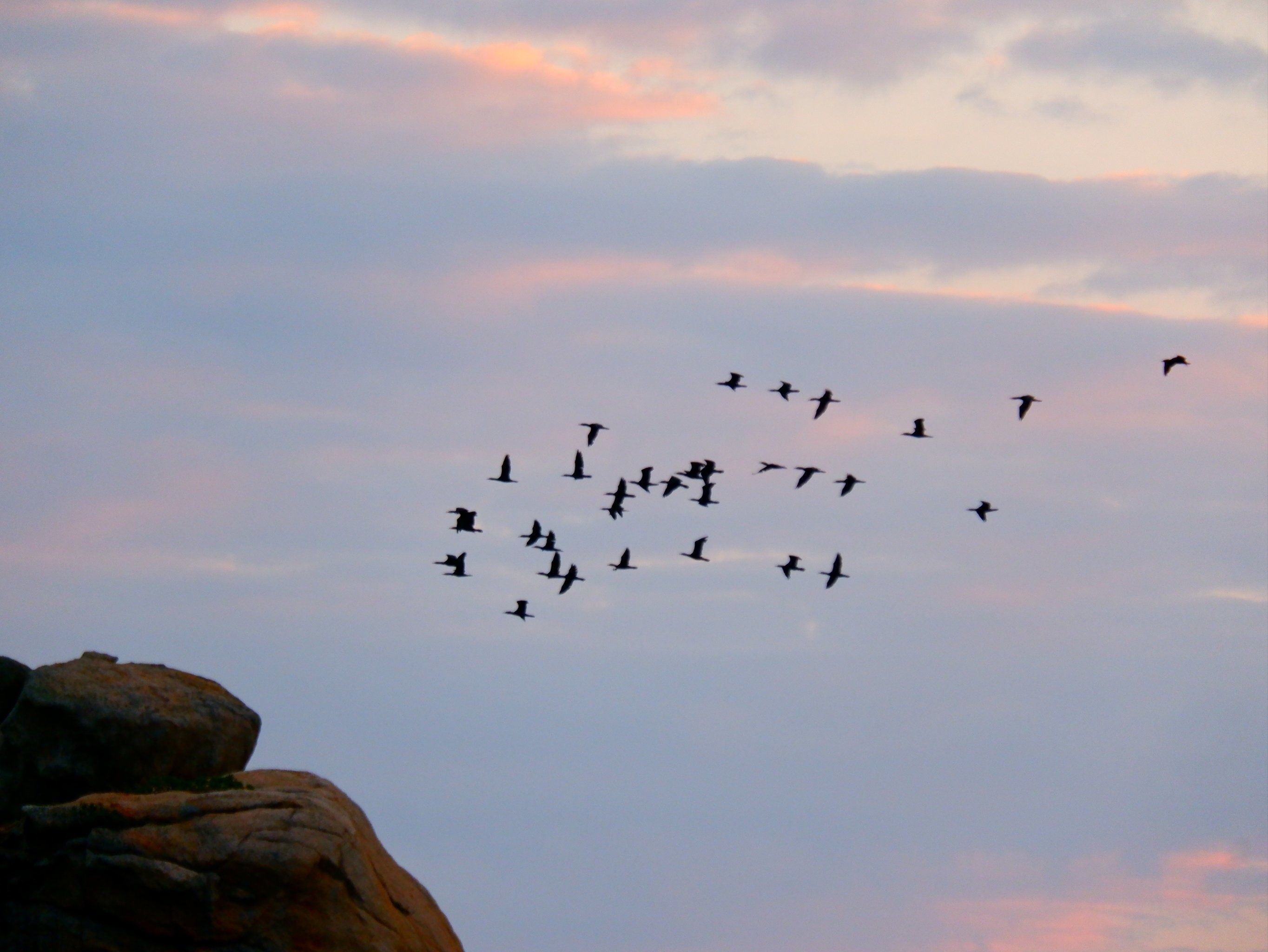 天天领红包 #分享治愈系风景 #暮色 #落日余晖映晚霞 #我拍到的治愈