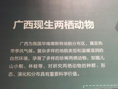 -柳州白莲洞洞穴科学博物馆