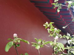 -护国法轮寺