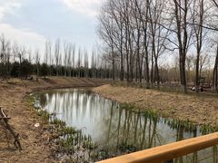 -东郊湿地公园