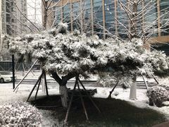 -中国电力科学研究院有限公司