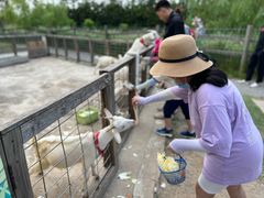 -前小桔亲子创意农场·草莓采摘·露营烧烤