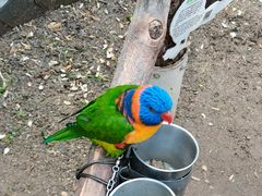 -南宫五洲植物乐园