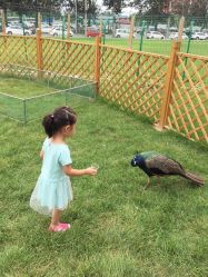 -萌宠亲子动物乐园(槐房万达店)