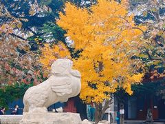 -北京石刻艺术博物馆(五塔寺)