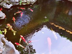 -鲤院·新中式美学·庭院餐厅(夫子庙店)