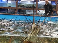 -渔人湾码头海鲜市场负二楼