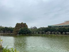 -厦门大学(思明校区)