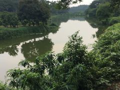 -南国桃园旅游度假区