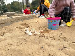 -苏州河梦清园环保主题公园