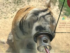-济南野生动物世界