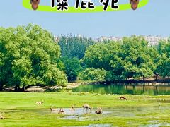 -南海子公园