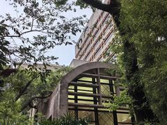 -香港大学