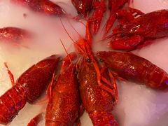 -红盔甲·小龙虾(车公庙店)