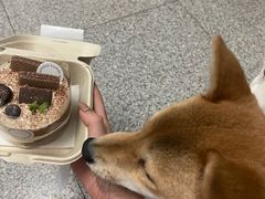 -Lumos一間甜食
