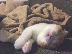 -楼外楼大刀肉传统火锅居(幸福街店)