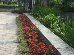 -广州神农草堂中医药博物馆