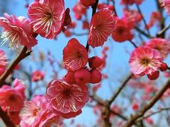 -玄武湖景区-情侣园游乐场