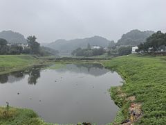 -周记翘脚牛肉
