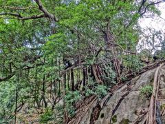 -乌山风景区