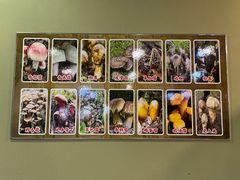 -杨记山珍鸡煲菌汤锅