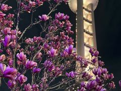 -Chili's Cafe&Bar奇利斯(滨江店)