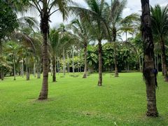 -中国科学院西双版纳热带植物园