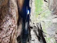 -鲁山国家森林公园