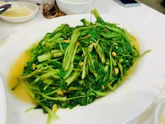 -日日香卤鹅饭店·澄海狮头鹅(澄海店)