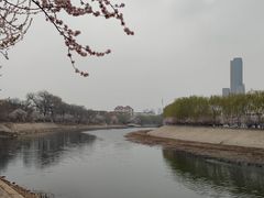 -桃花堤公园