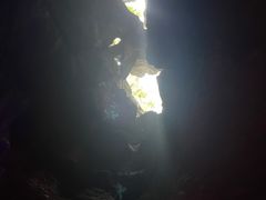 -寻龙山风景旅游区