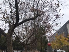 -昆明理工大学莲华校区幼儿园