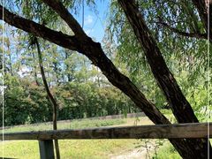 -前小桔亲子创意农场·草莓采摘·露营烧烤