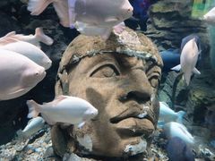 -成都浩海立方海洋公园