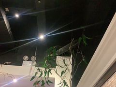 -春天来了(印象新天地店)