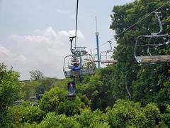 -圣淘沙天际线斜坡滑车