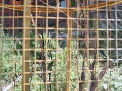 -北京鹿世界主题园