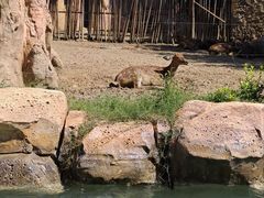 -太原动物园