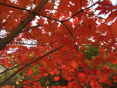 -沈阳辉山风景区