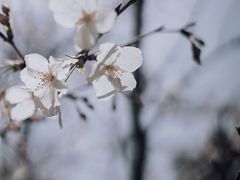 -新太二·鲜料川菜(群光广场店)