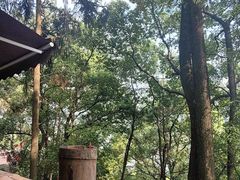 -巴倒烫陆派火锅山庄(南山总店)