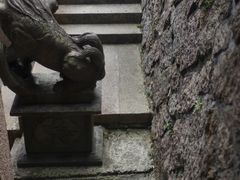 -玉苍山国家森林公园