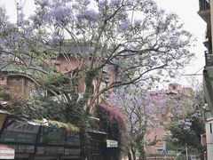 -厦门途易蓝罗约海景温泉酒店(园博苑地铁站店)