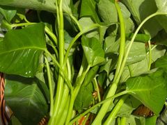 -二刀潮牛·鲜牛肉火锅(爱融荟城店)