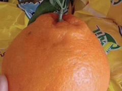 沃柑-壹号果仓(常熟三店)