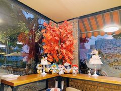 -柴犬高等学院·狗咖·柴犬售卖·宠物训练